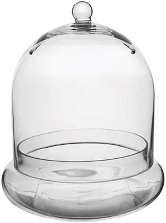 Glass Cloche Terrarium