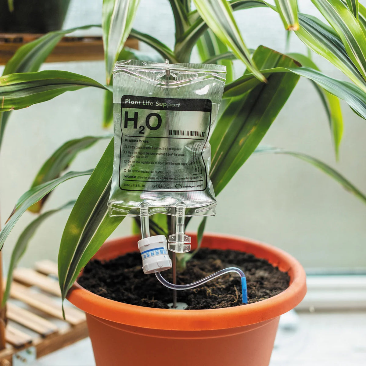 Plant Life Support Water Drip Feed For Small House Plants