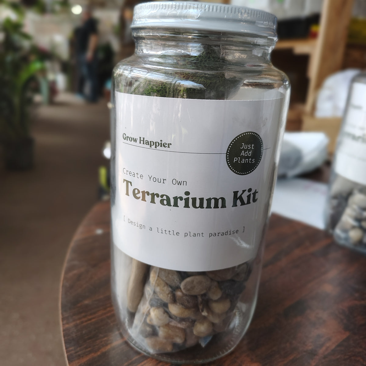 Terrarium Kit