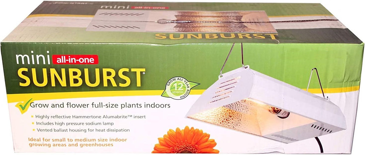 Mini Sunburst Lamp 150 Watts
