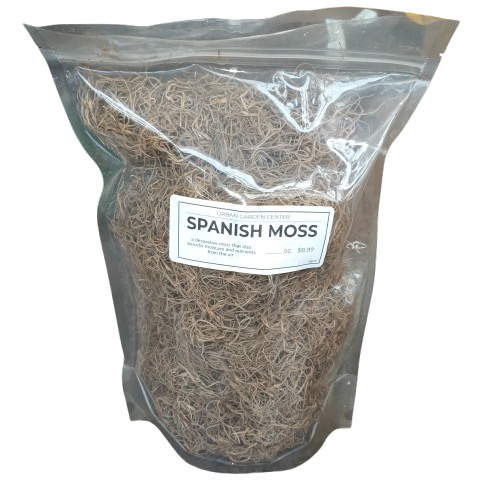 UGC Spanish Moss