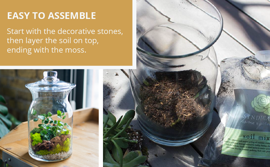 Syndicate Glass Garden Kit