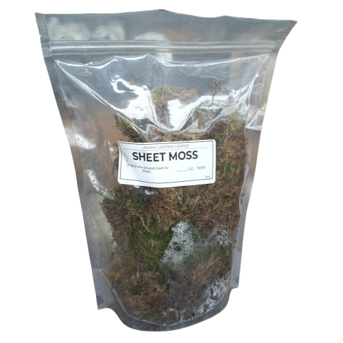 Sheet Moss