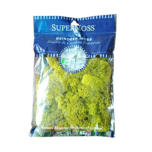 Supermoss Reindeer Moss