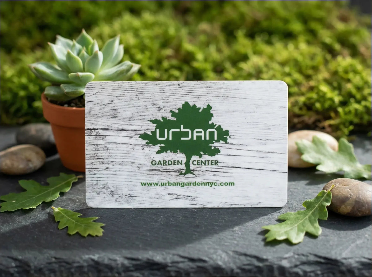 Physical Urban Garden Center Gift Card displayed with a succulent and garden greenery.