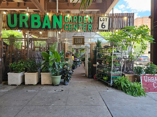 Entrance to Urban Garden Center at 1560 Park Avenue in East Harlem, with the Urban Garden Center and Lot 6 signs.