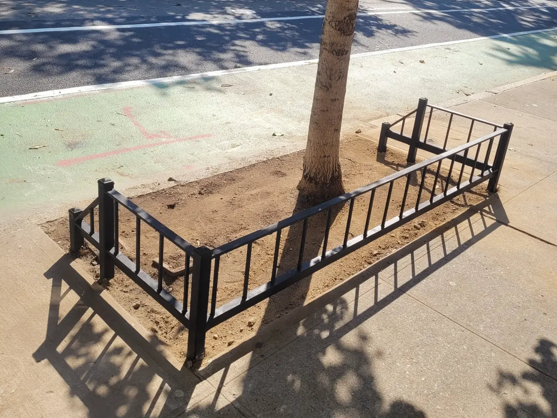 Custom steel Tree Guard installed around a sidewalk tree pit.