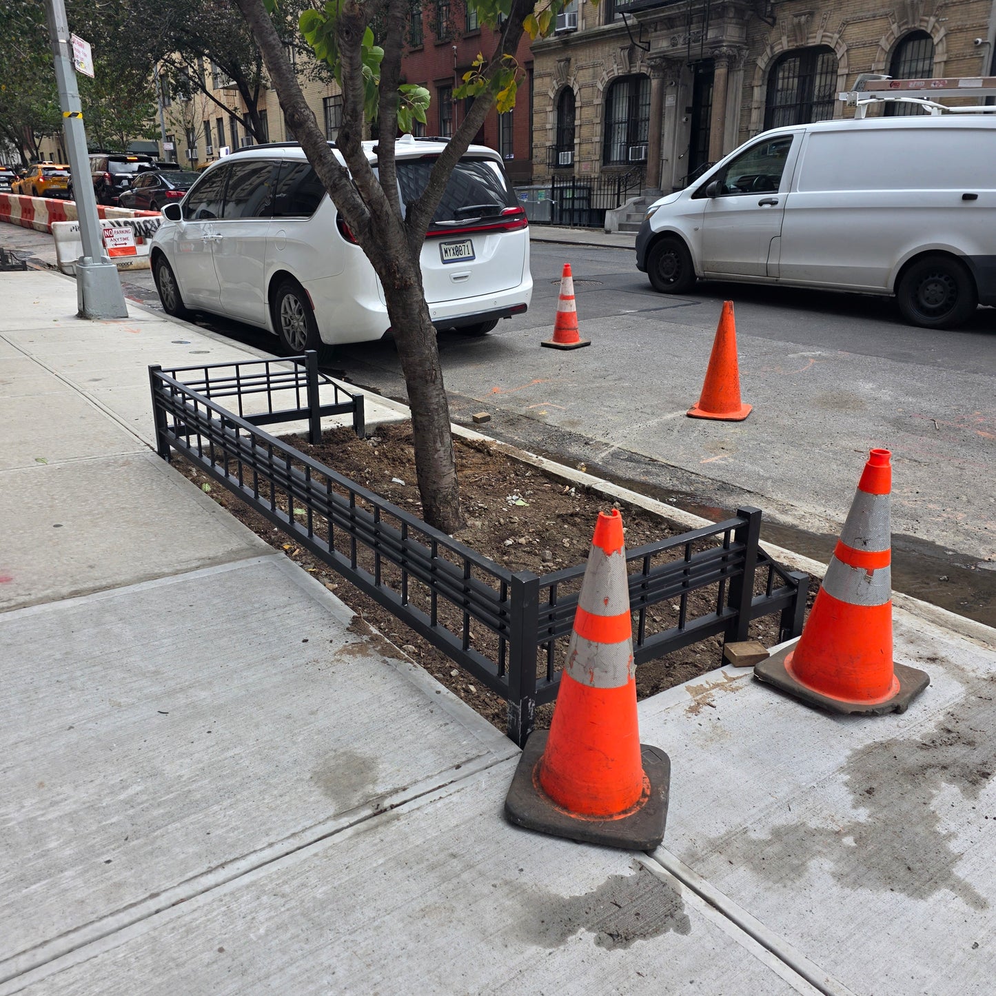 Custom Steel Tree Guard - NYC Parks Approved