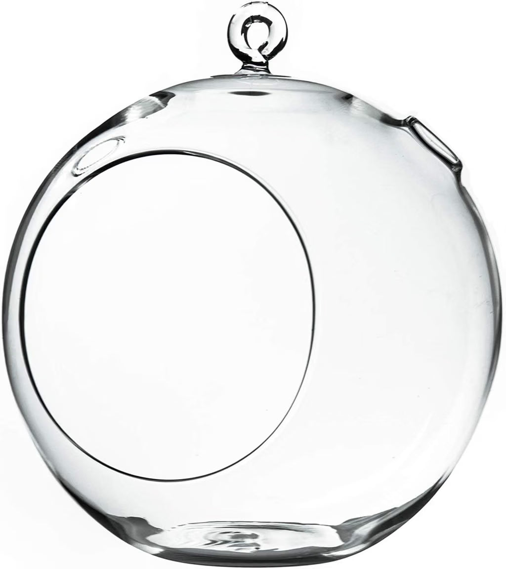 Mini Round Terrarium 5in