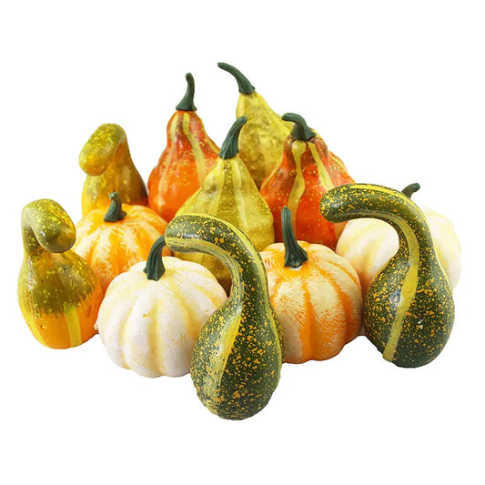 Mini Gourds mixed