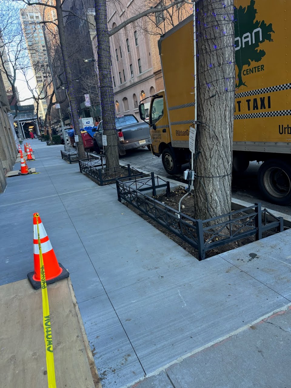 Custom Steel Tree Guard - NYC Parks Approved