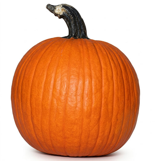 Mischief Pumpkins 2 - 4lbs.
