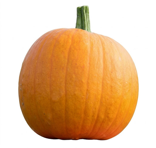 Field Trip Pumpkin 5 - 7lbs