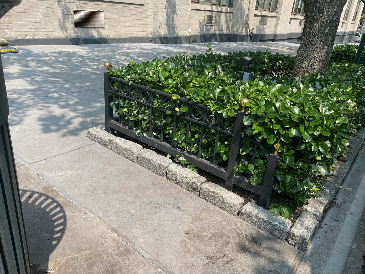Custom Steel Tree Guard - NYC Parks Approved