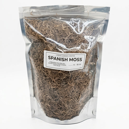 UGC Spanish Moss