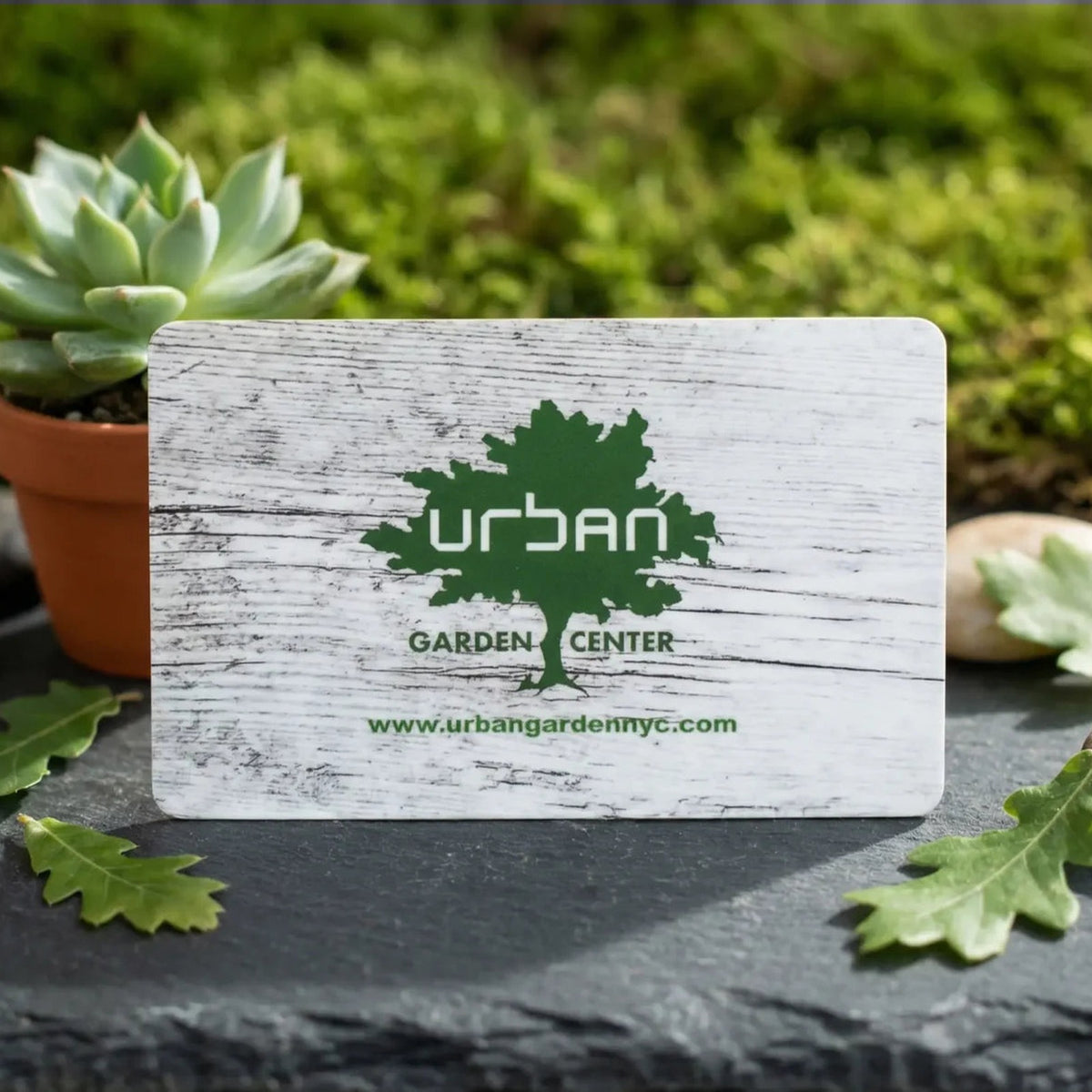 Urban Garden Center physical gift card displayed with a succulent and garden greenery.