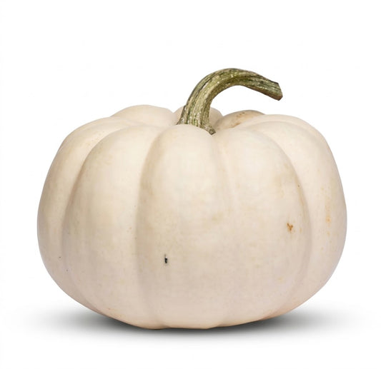 Mini White Pumpkin