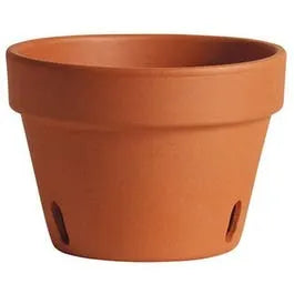 Terracotta Orchid Pots