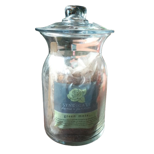 Syndicate Glass Garden Kit