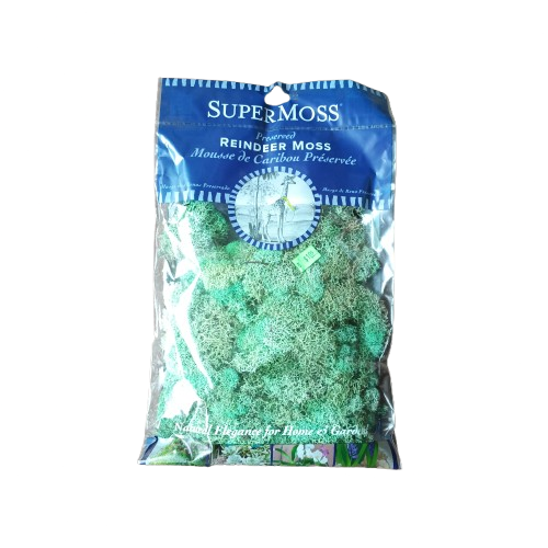 Supermoss Reindeer Moss