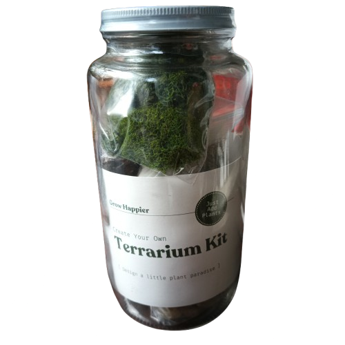 Terrarium Kit