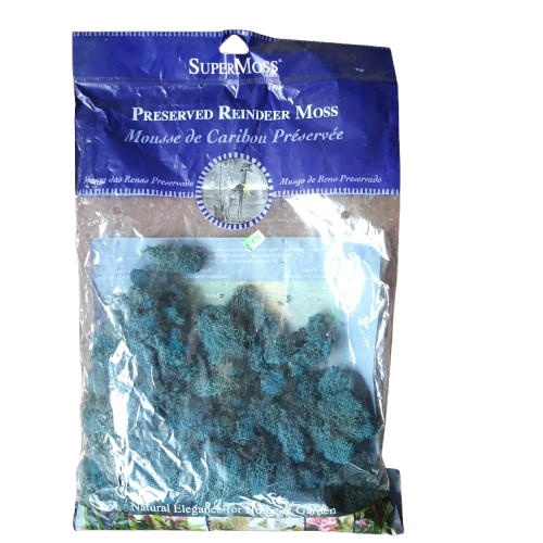 Supermoss Reindeer Moss