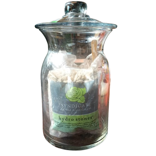 Syndicate Glass Garden Kit