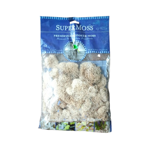 Supermoss Reindeer Moss