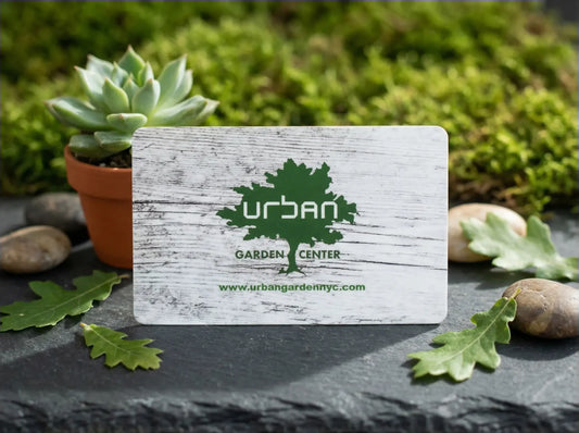 Physical Urban Garden Center Gift Card displayed with a succulent and garden greenery.